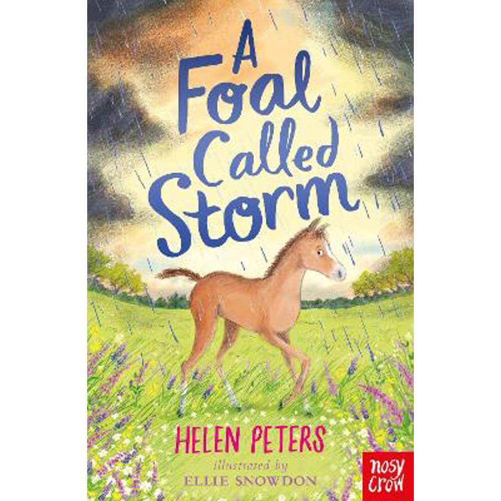 A Foal Called Storm (Paperback) - Helen Peters